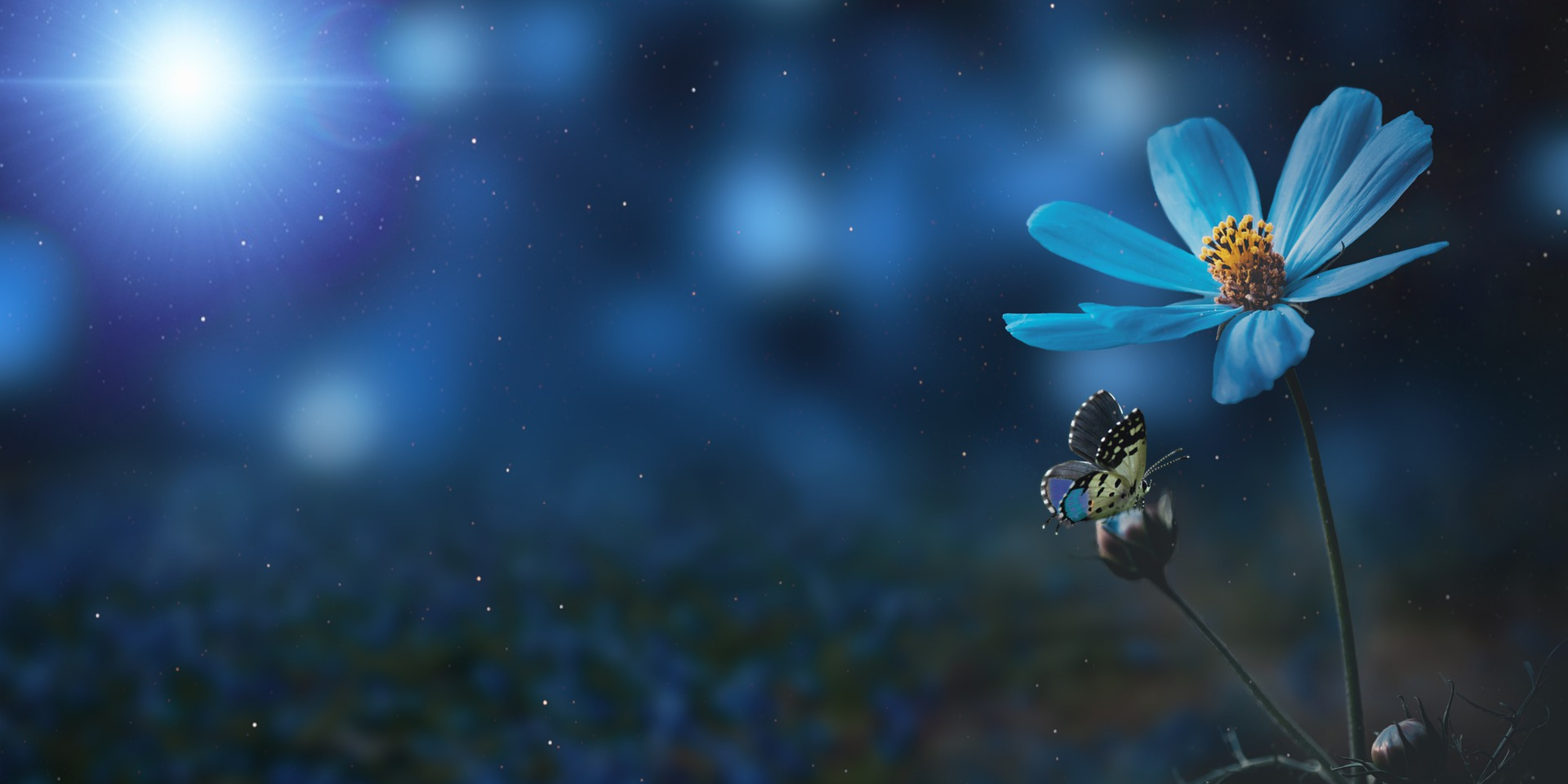 Blume blau Licht für Sternenlicht
