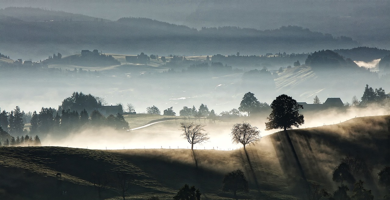 Schatten erkennen Nebel durchdringen