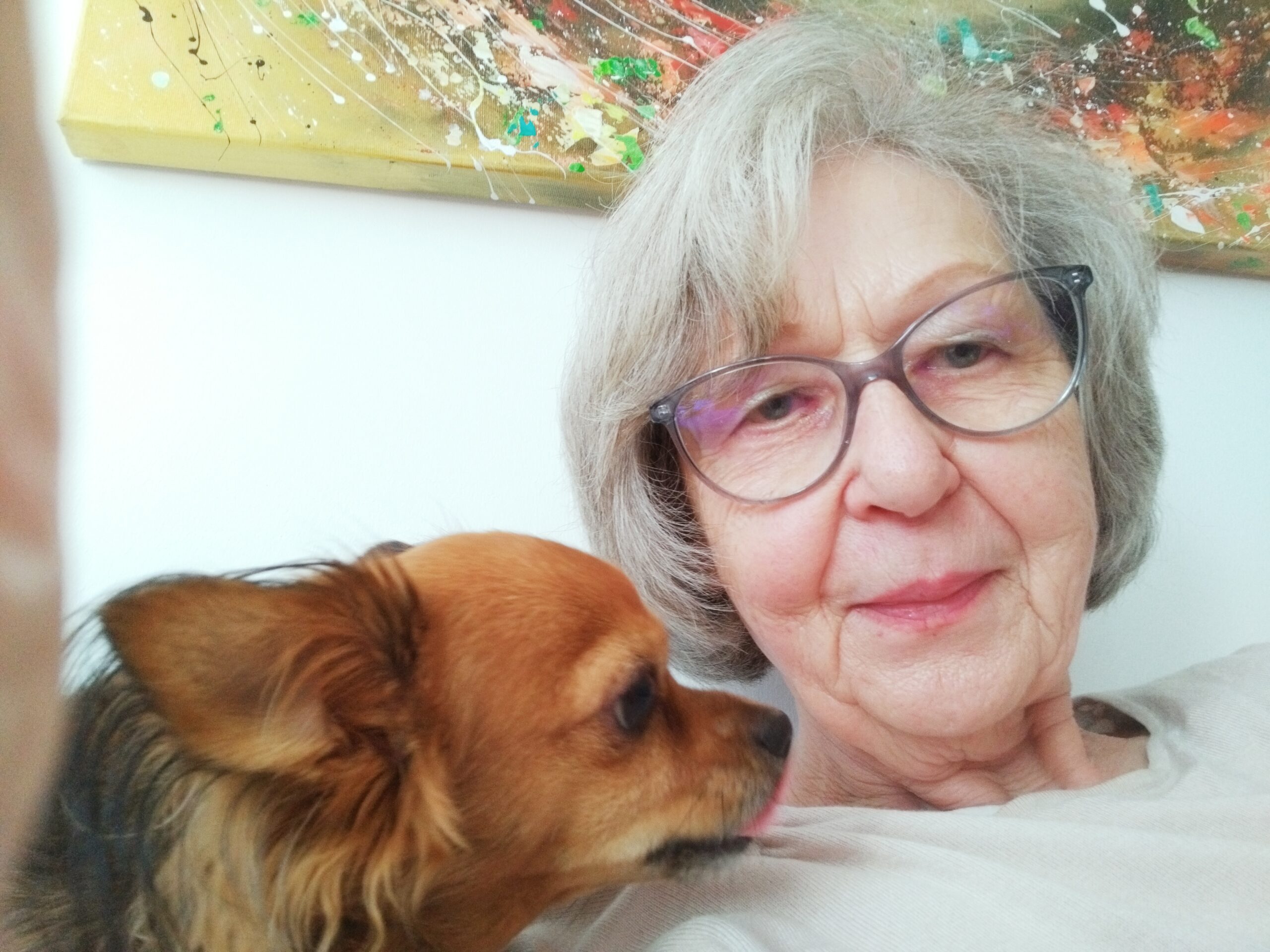 Überraschend gutes Leben mit Hund