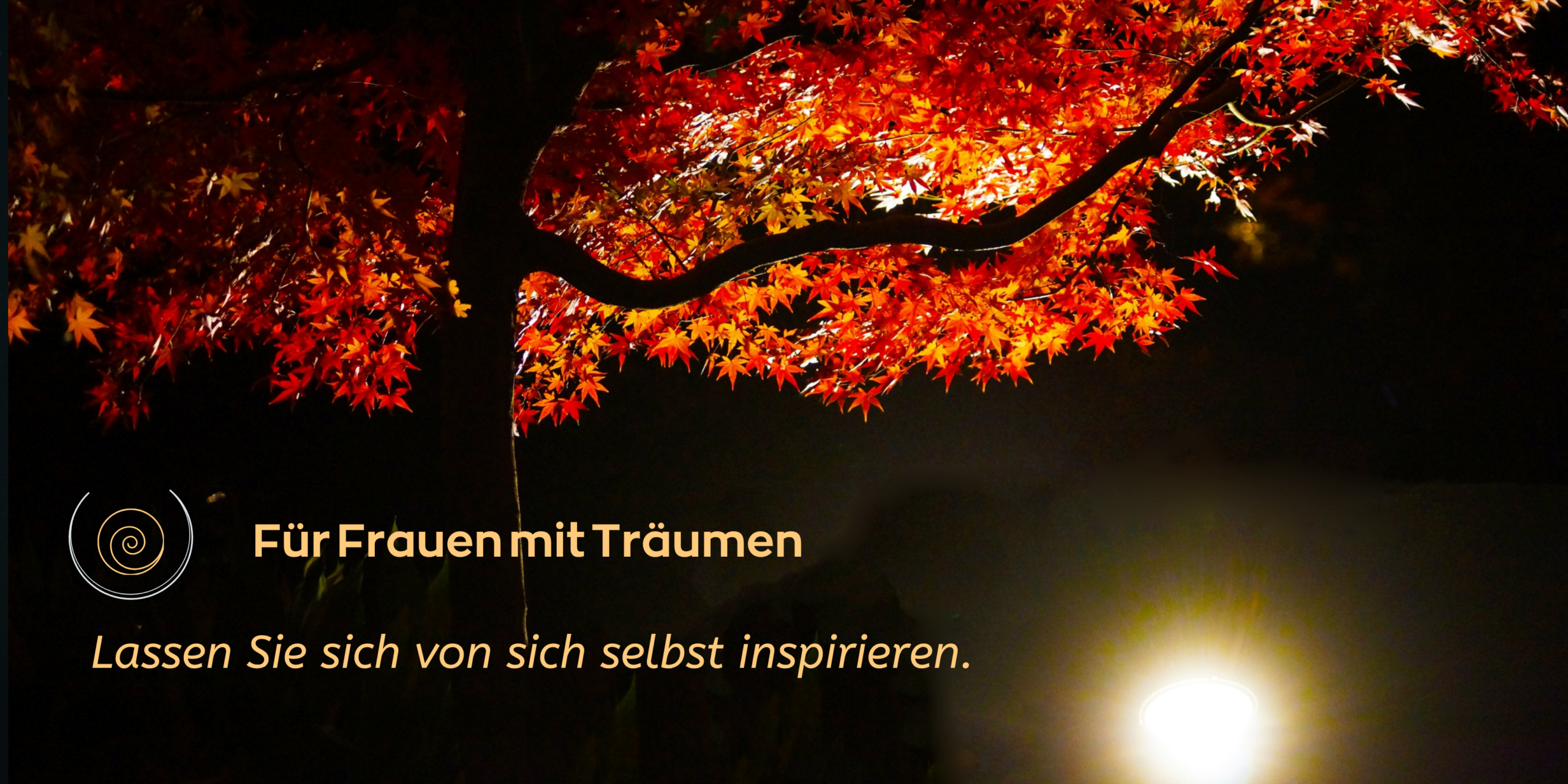 Traumzeitmeditationen für Frauen, die etwas aus ihren Träumen machen wollen